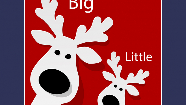 Give The Gift of A Mentoring Relationship: Help A Little Find Their Big This Holiday